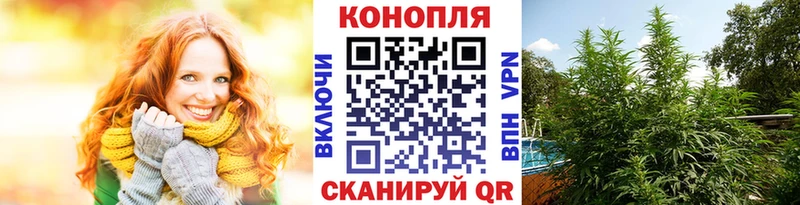 Конопля Bruce Banner  Купить где  Кореновск 